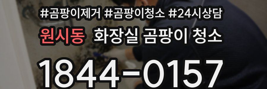 원시동 화장실 곰팡이 청소