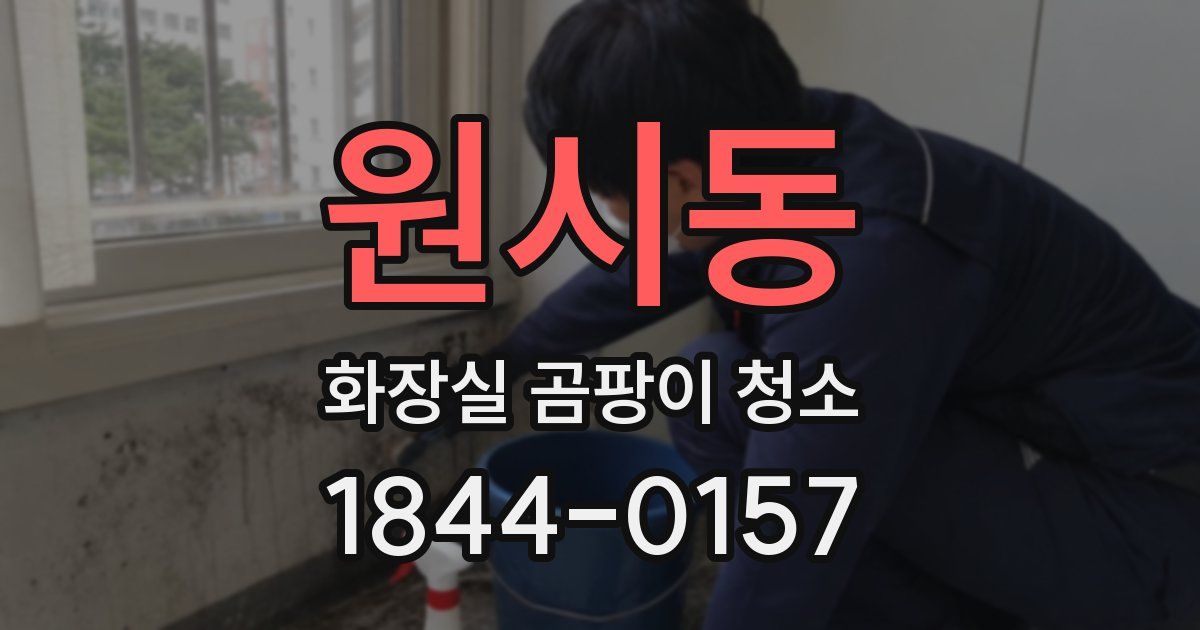 원시동 화장실 곰팡이 청소