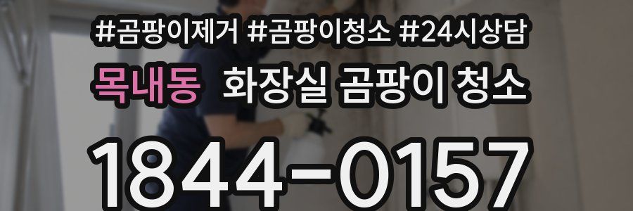목내동 화장실 곰팡이 청소