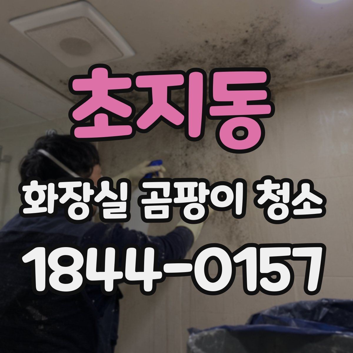 초지동 화장실 곰팡이 청소 집안 도구로 처리할 수 있는 부분