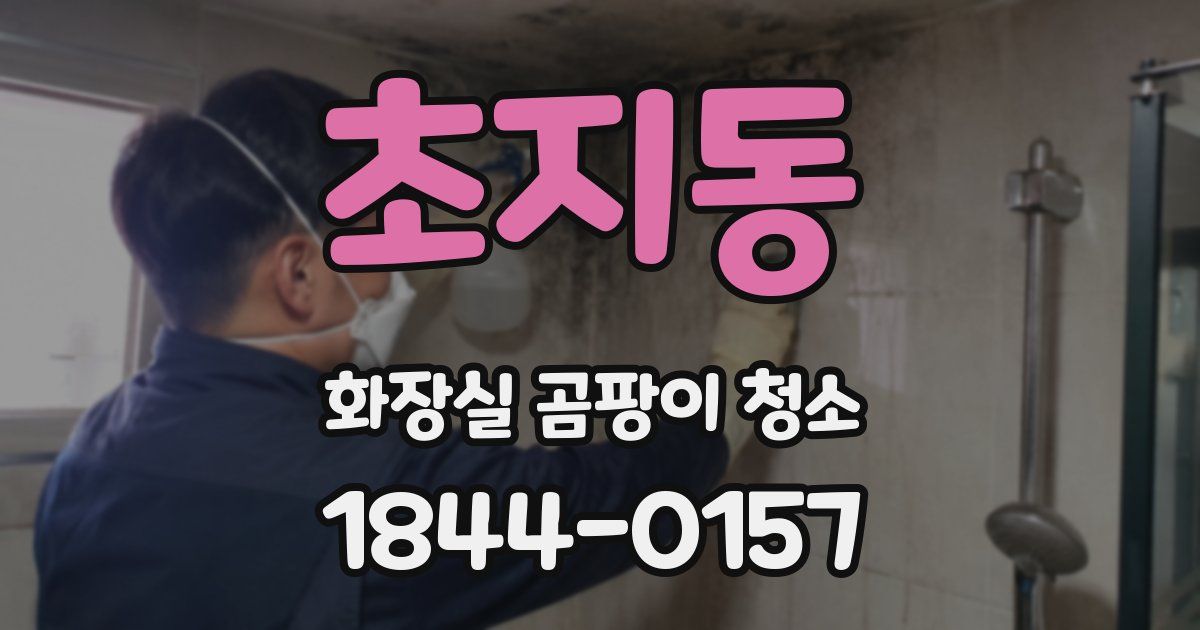초지동 화장실 곰팡이 청소