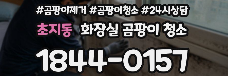 초지동 화장실 곰팡이 청소