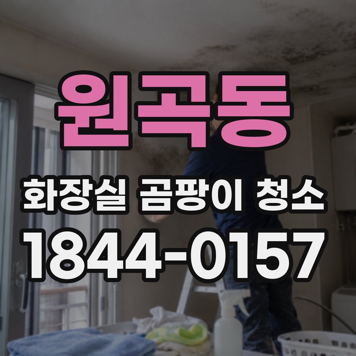 원곡동 화장실 곰팡이 청소