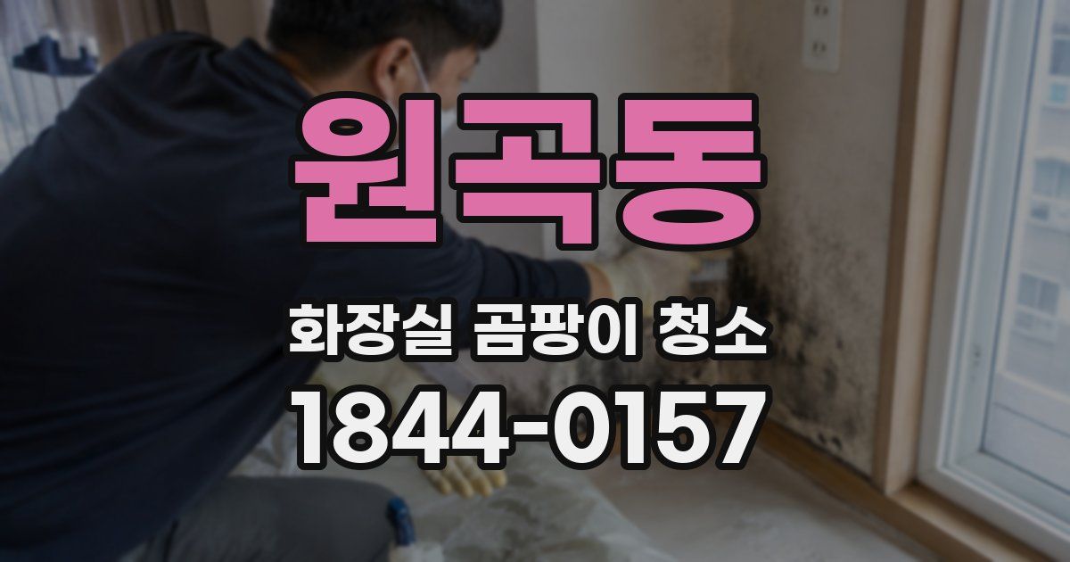 원곡동 화장실 곰팡이 청소