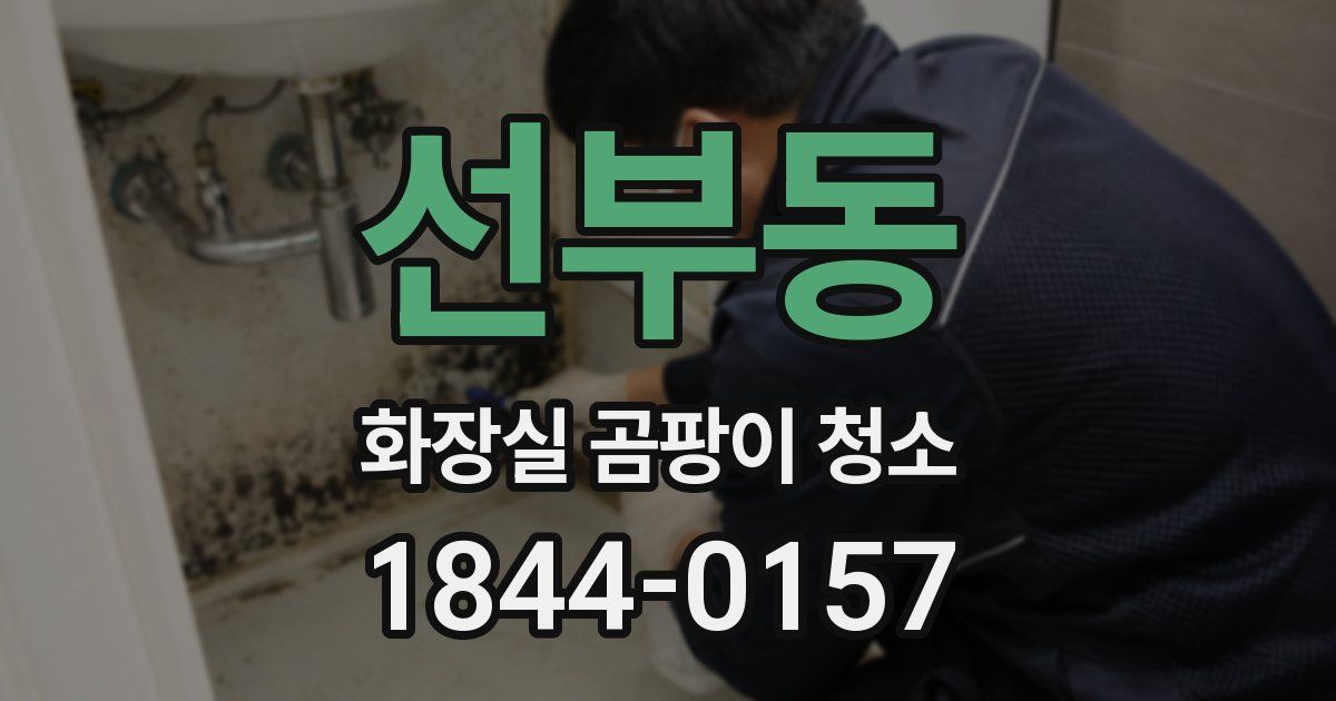 선부동 화장실 곰팡이 청소