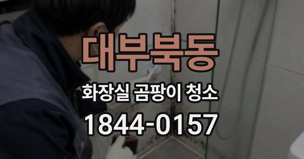대부북동 화장실 곰팡이 청소