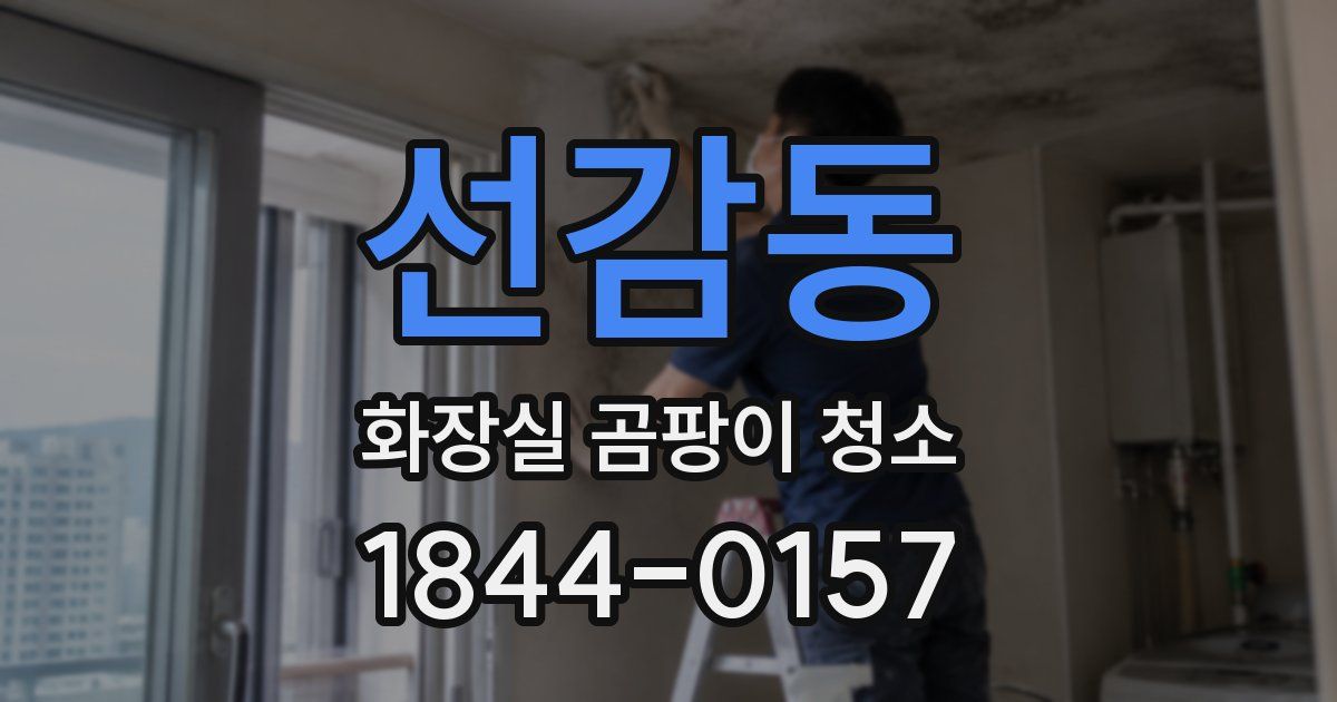 선감동 화장실 곰팡이 청소
