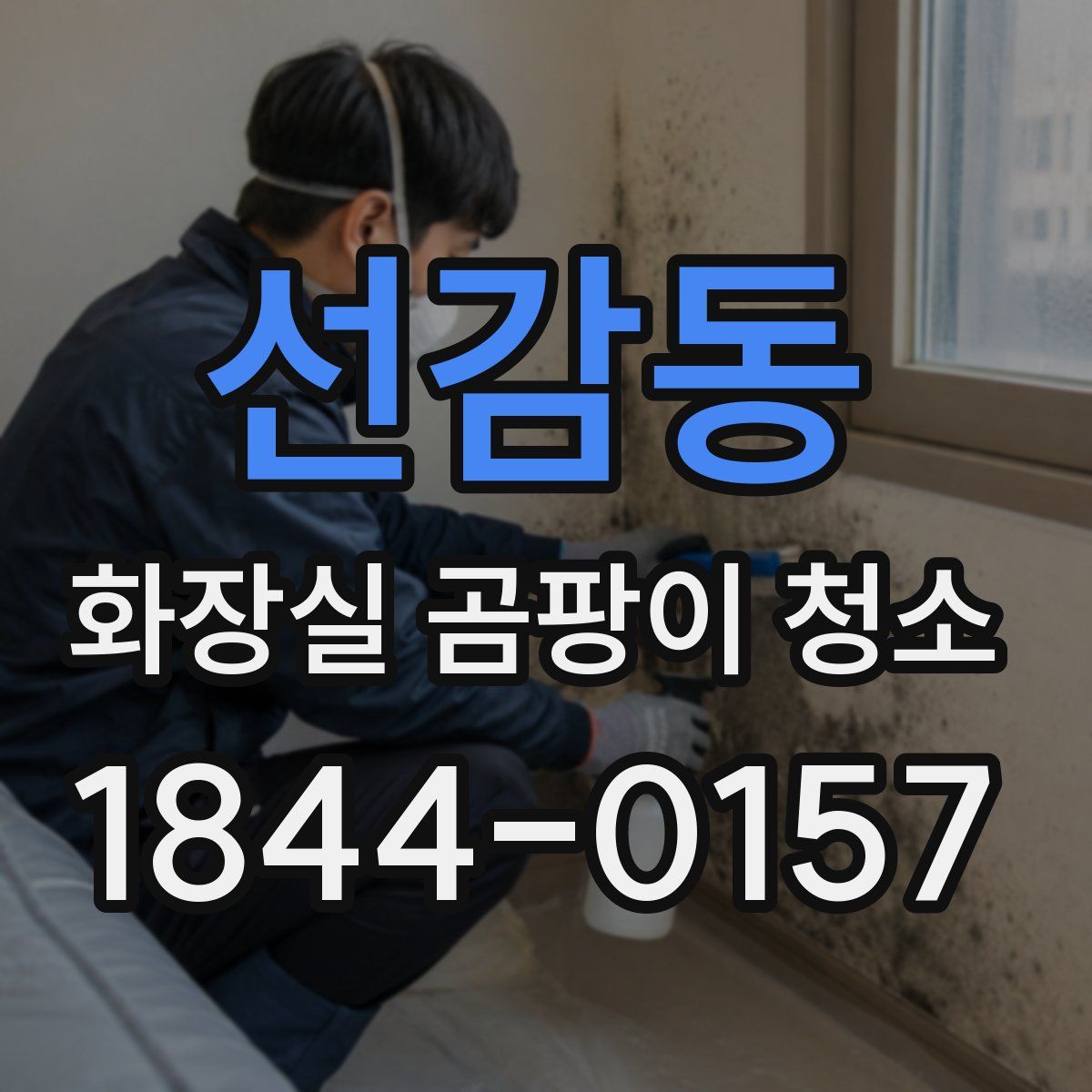 선감동 화장실 곰팡이 청소