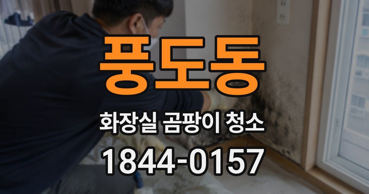 풍도동 화장실 곰팡이 청소