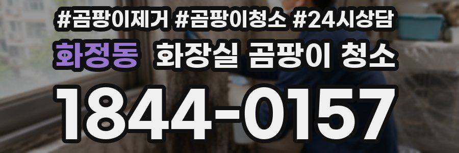 화정동 화장실 곰팡이 청소