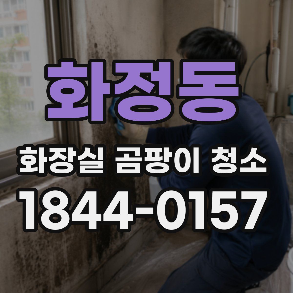 화정동 화장실 곰팡이 청소