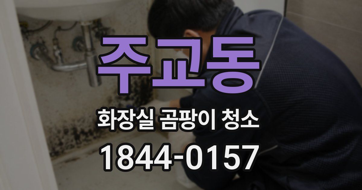주교동 화장실 곰팡이 청소