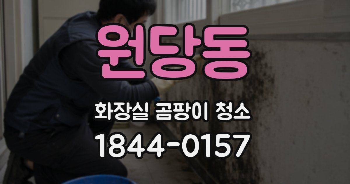 원당동 화장실 곰팡이 청소