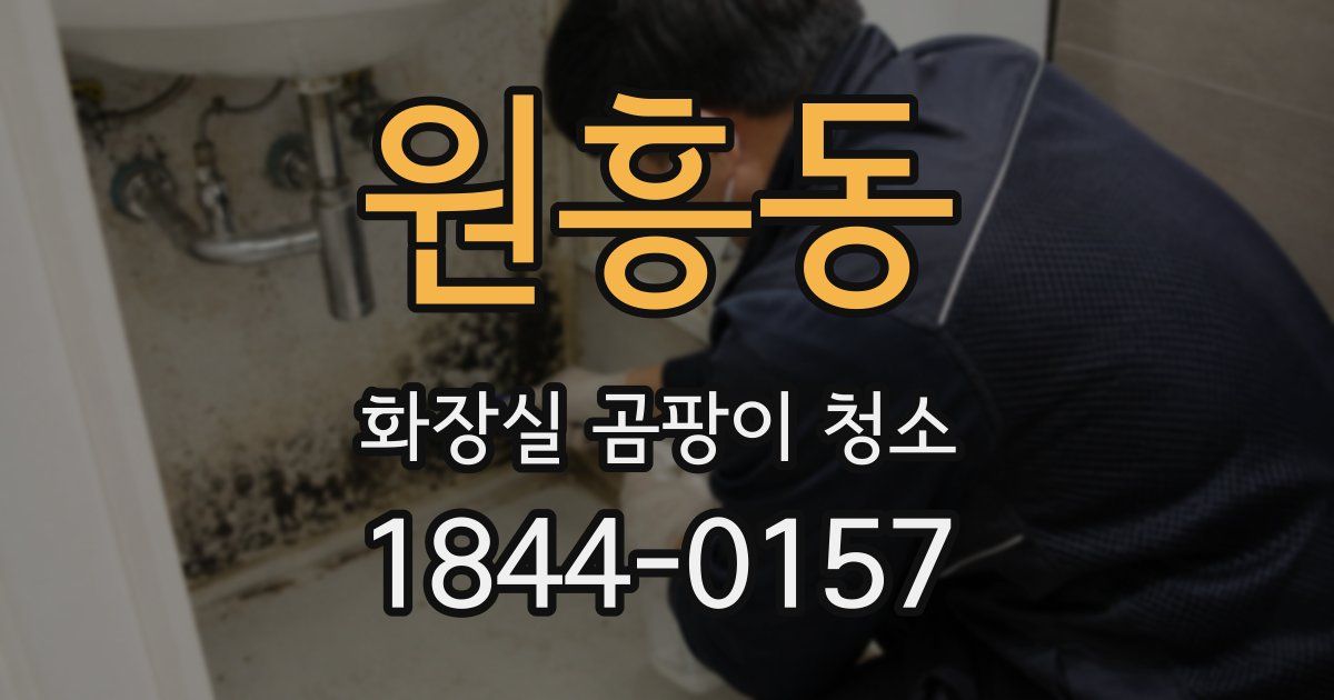 원흥동 화장실 곰팡이 청소