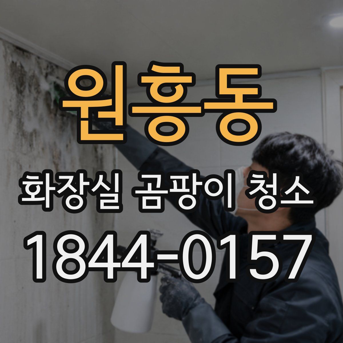 원흥동 화장실 곰팡이 청소