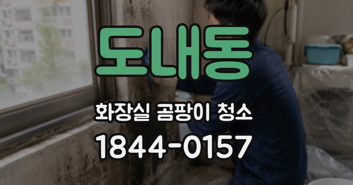 도내동 화장실 곰팡이 청소