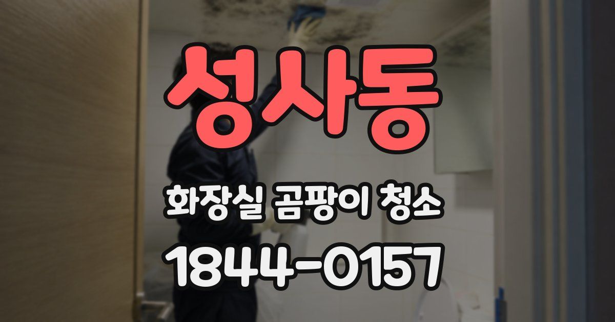 성사동 화장실 곰팡이 청소