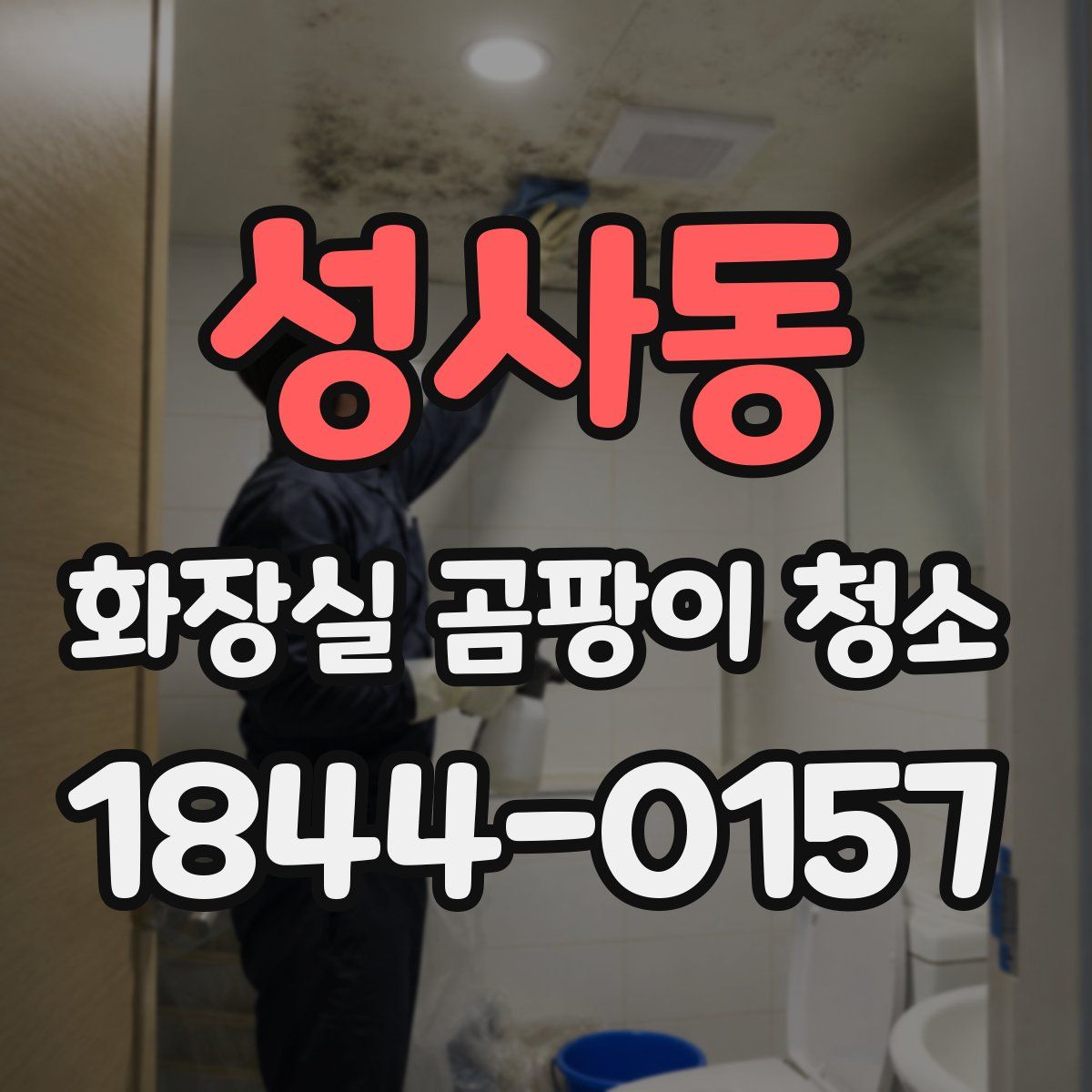 성사동 화장실 곰팡이 청소