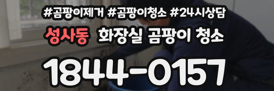 성사동 화장실 곰팡이 청소