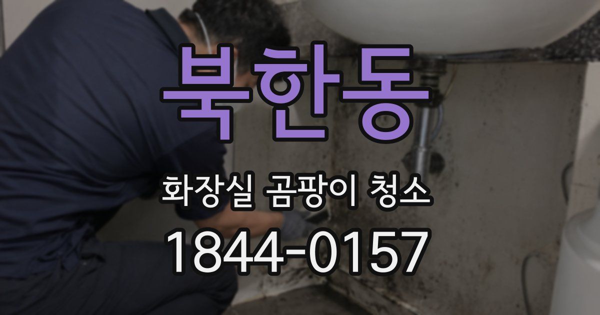 북한동 화장실 곰팡이 청소