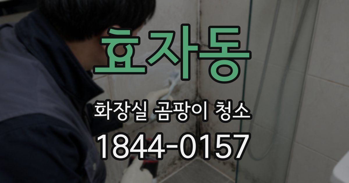효자동 화장실 곰팡이 청소