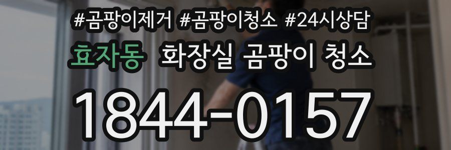 효자동 화장실 곰팡이 청소