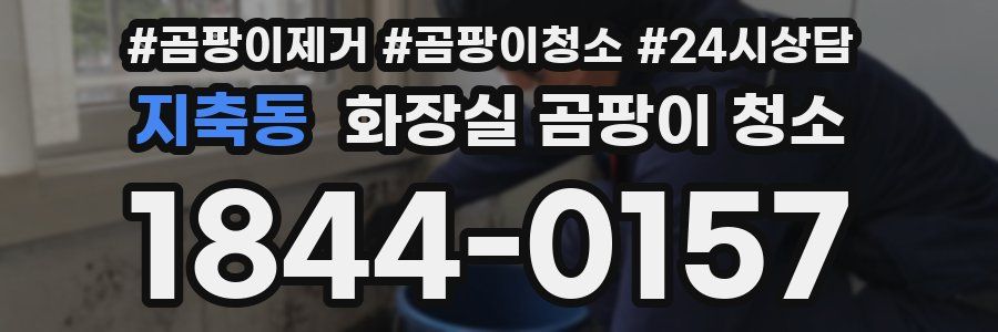 지축동 화장실 곰팡이 청소