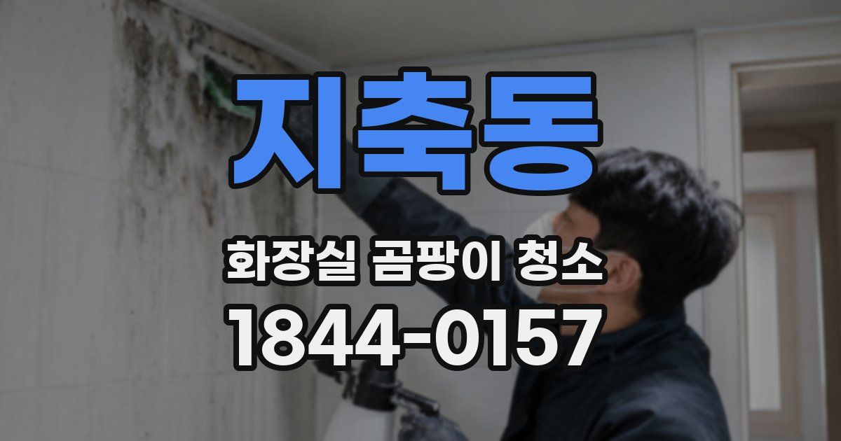 지축동 화장실 곰팡이 청소