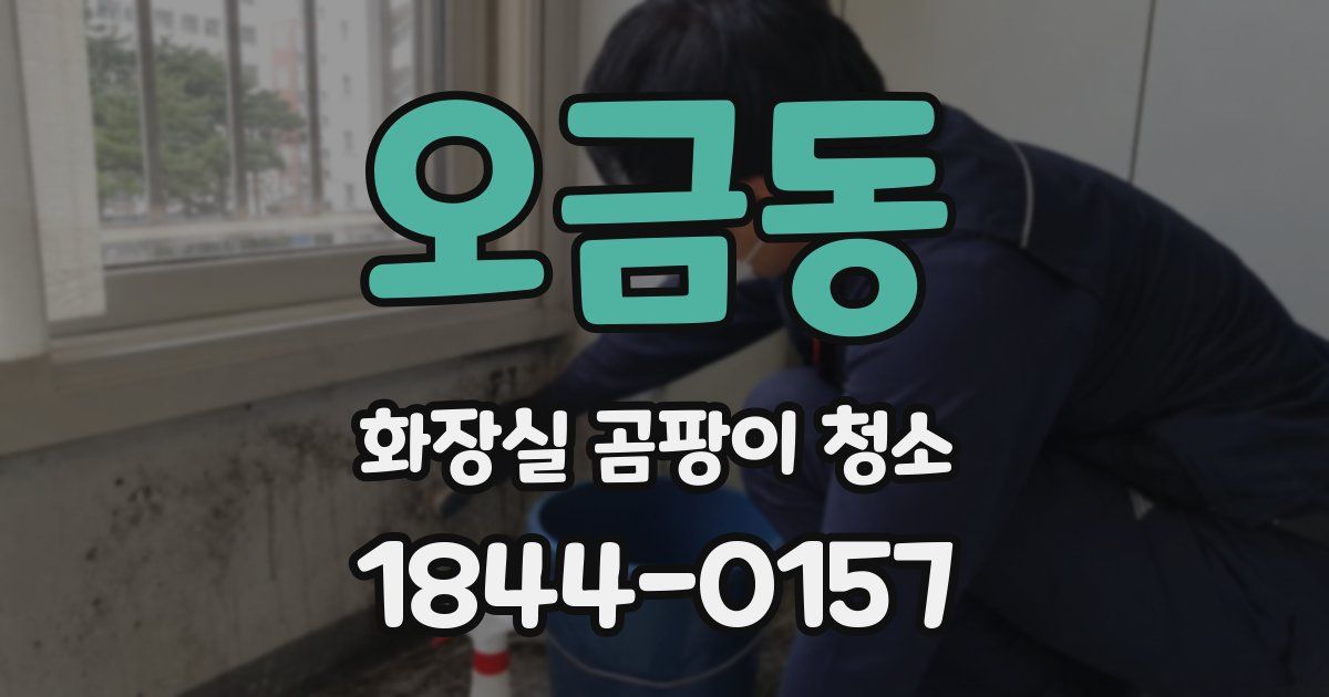 오금동 화장실 곰팡이 청소