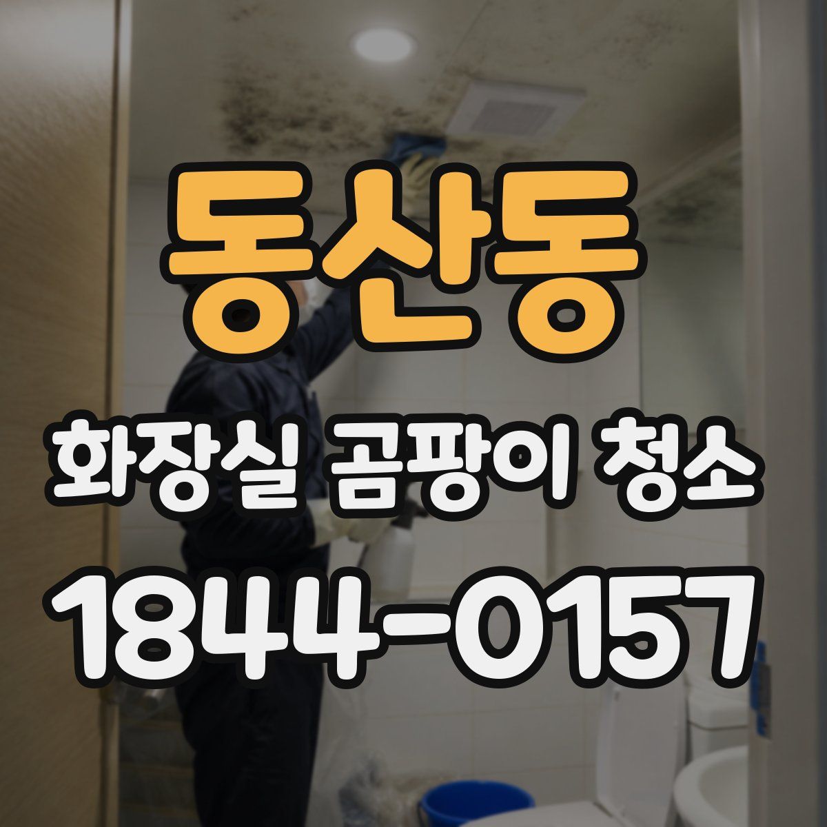 동산동 화장실 곰팡이 청소
