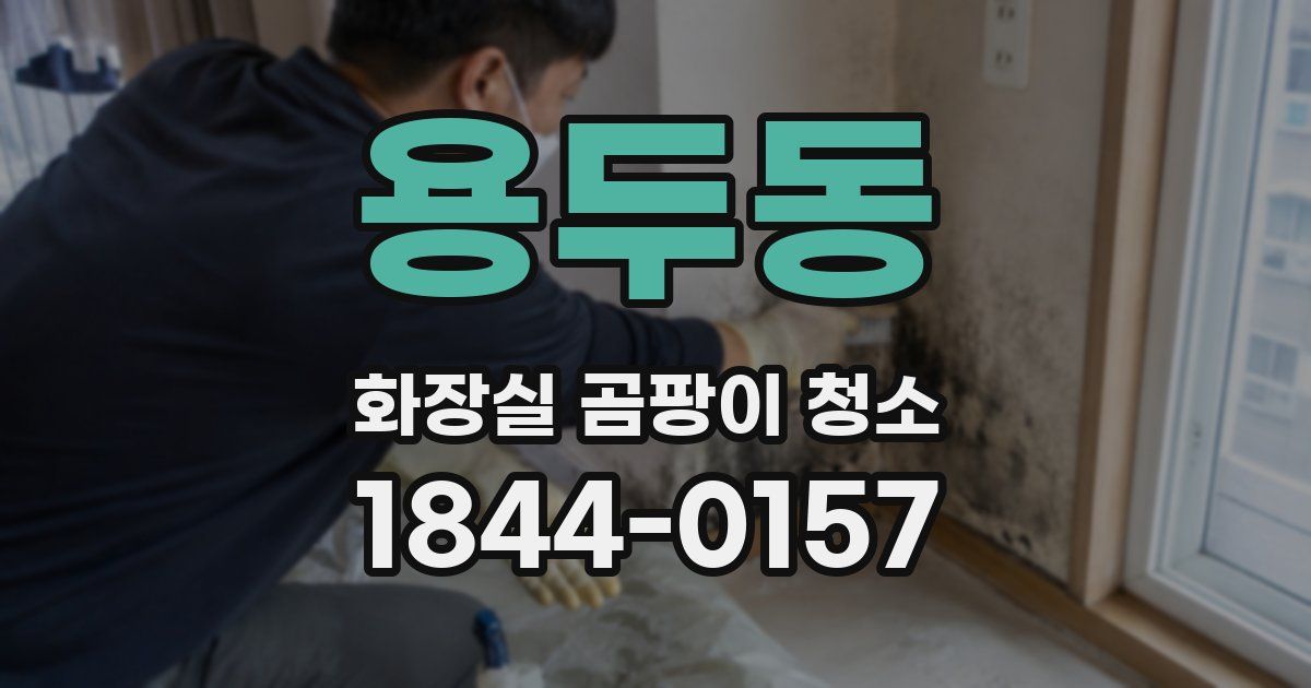 용두동 화장실 곰팡이 청소