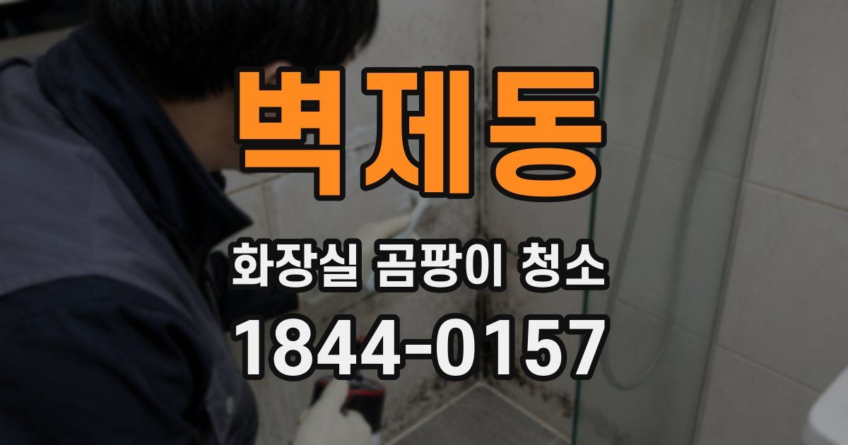 벽제동 화장실 곰팡이 청소