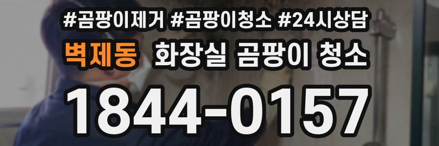 벽제동 화장실 곰팡이 청소