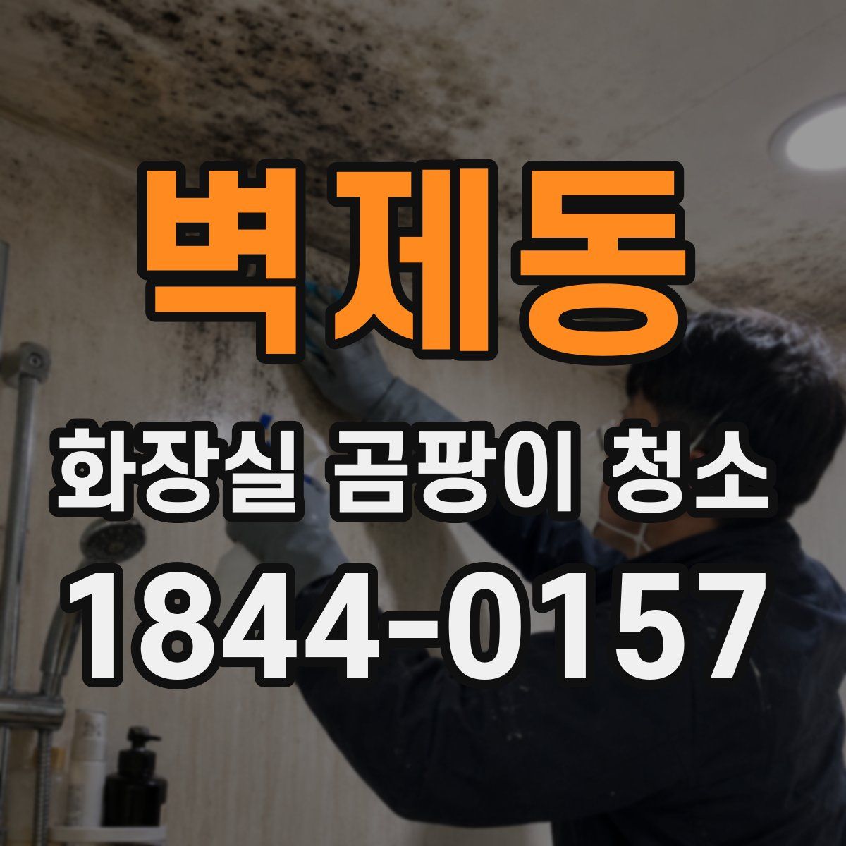 벽제동 화장실 곰팡이 청소