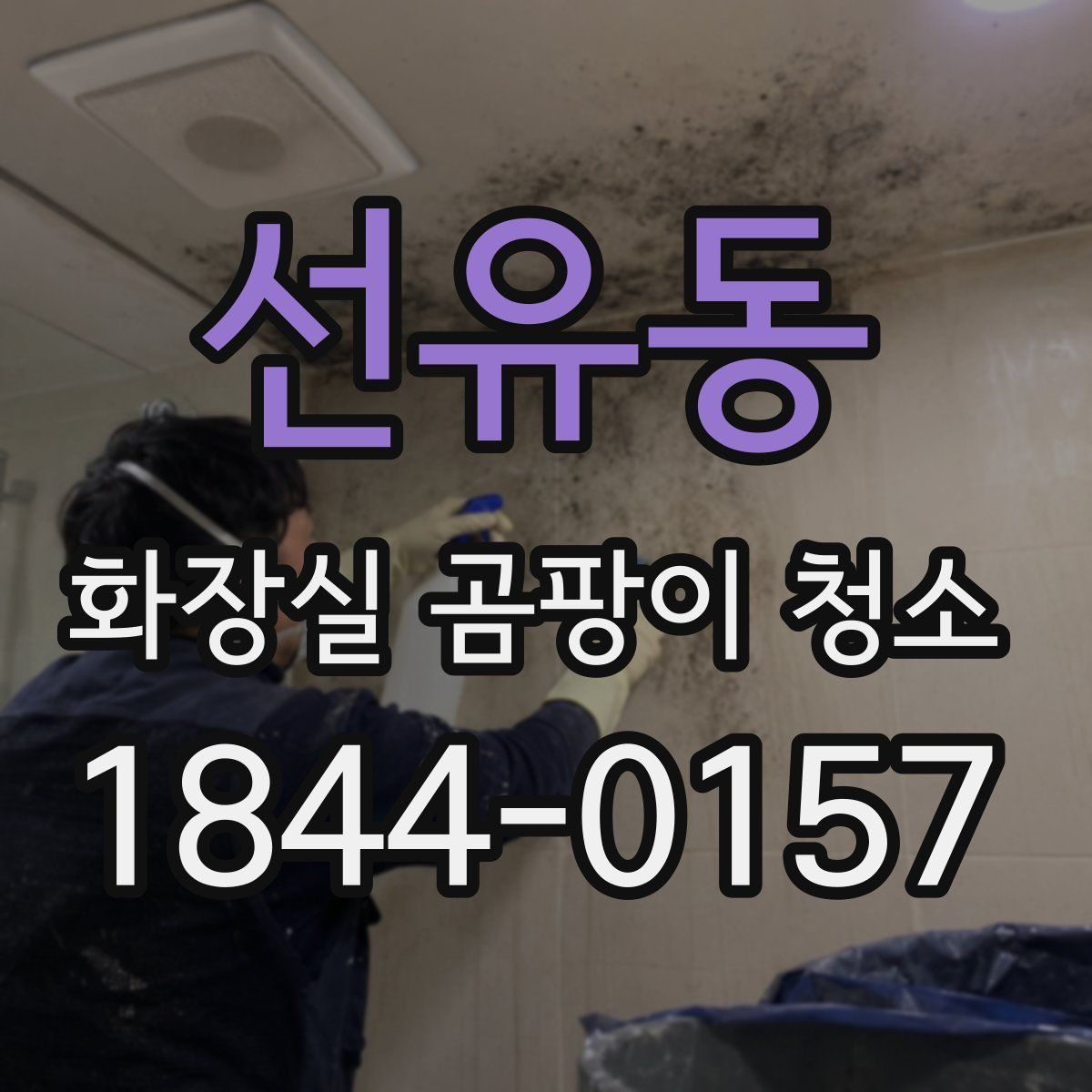 선유동 화장실 곰팡이 청소