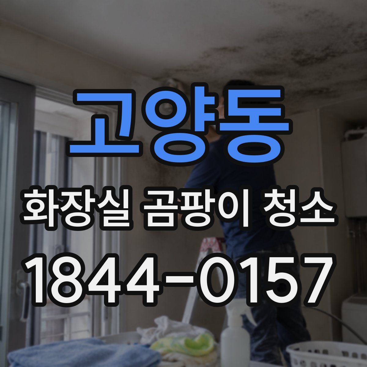 고양동 화장실 곰팡이 청소
