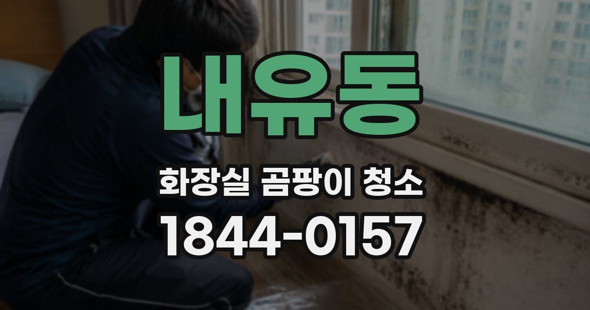 내유동 화장실 곰팡이 청소