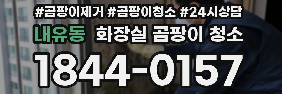 내유동 화장실 곰팡이 청소