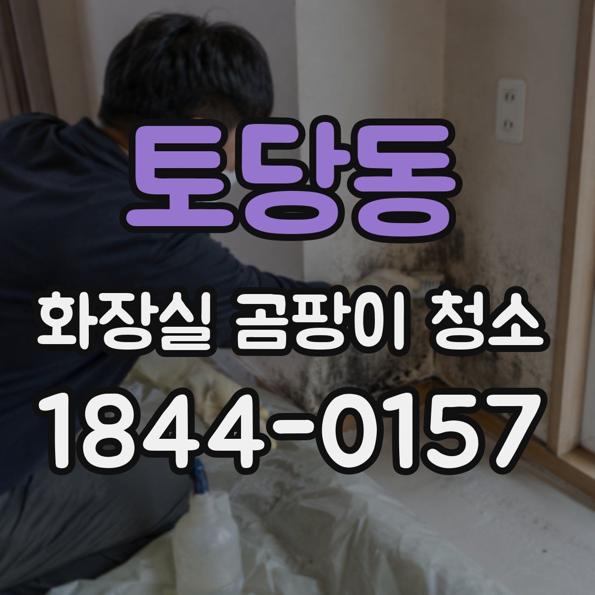 토당동 화장실 곰팡이 청소