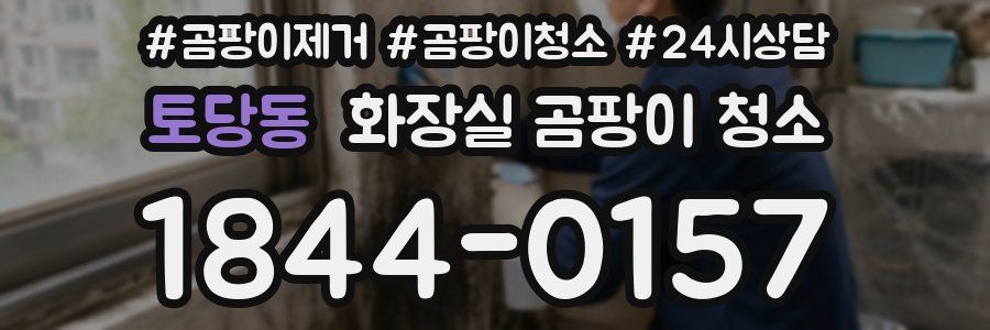 토당동 화장실 곰팡이 청소