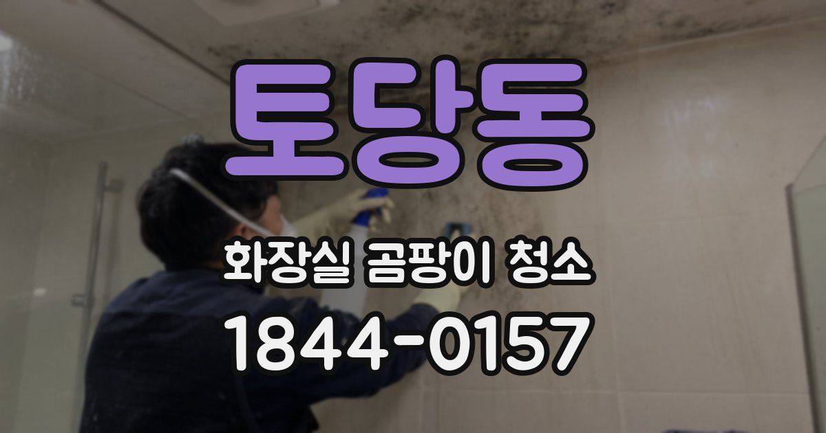 토당동 화장실 곰팡이 청소