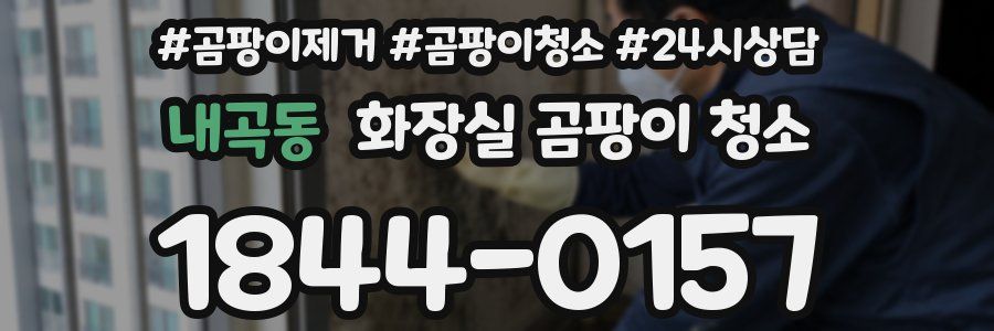 내곡동 화장실 곰팡이 청소