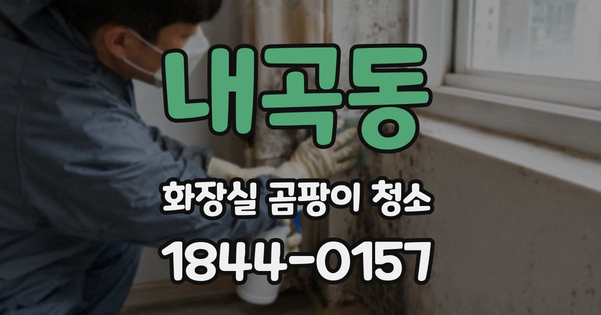 내곡동 화장실 곰팡이 청소