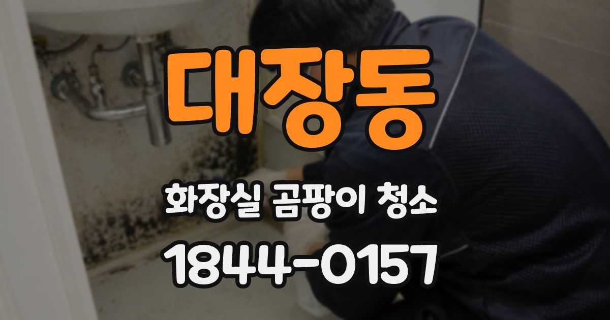 대장동 화장실 곰팡이 청소