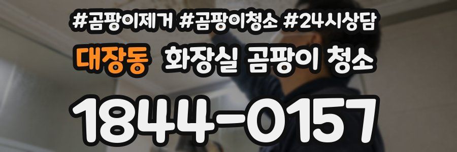 대장동 화장실 곰팡이 청소