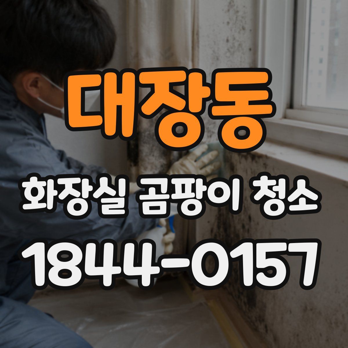 대장동 화장실 곰팡이 청소