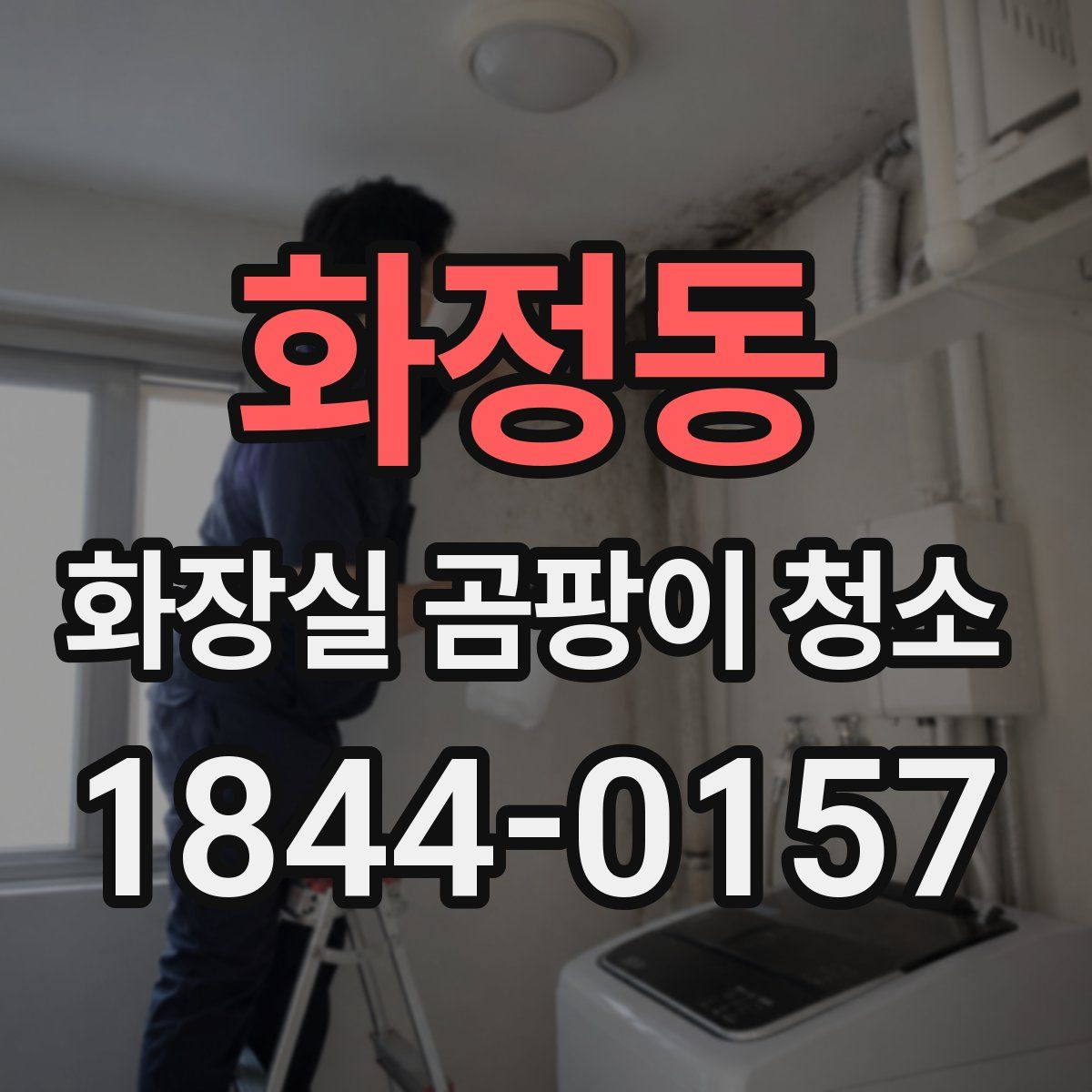 화정동 화장실 곰팡이 청소