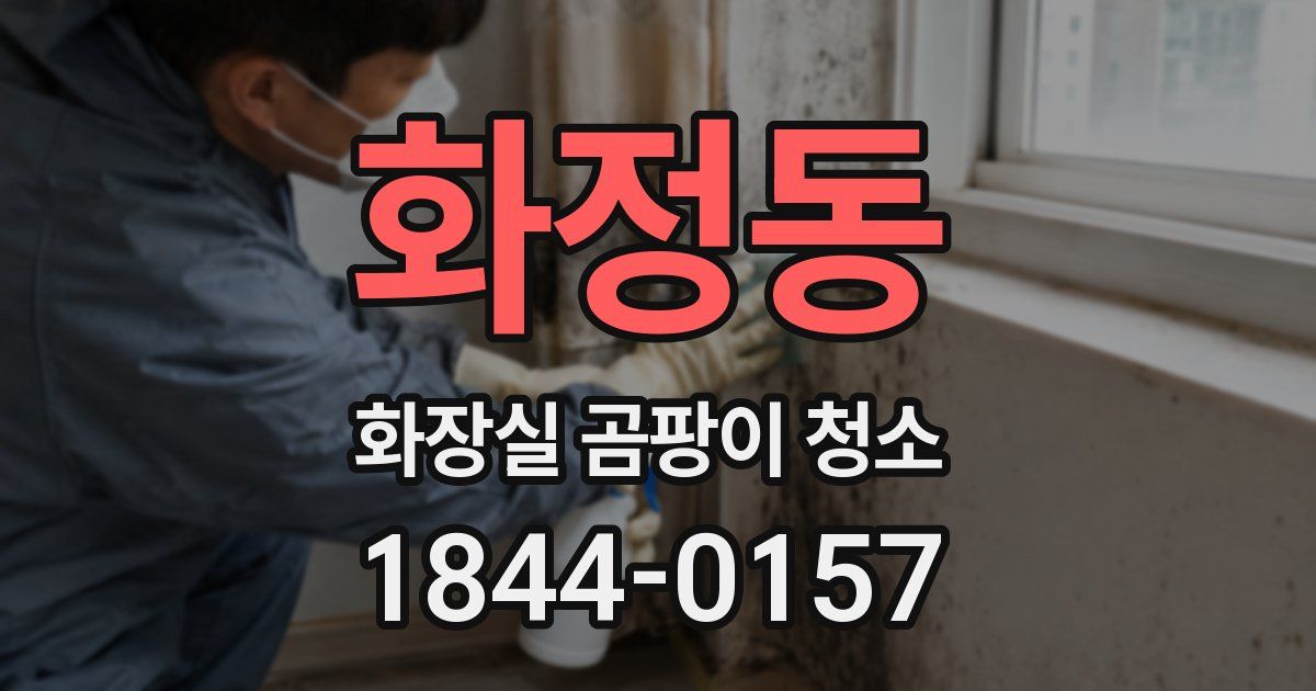 화정동 화장실 곰팡이 청소