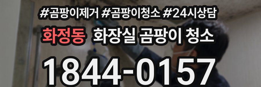 화정동 화장실 곰팡이 청소