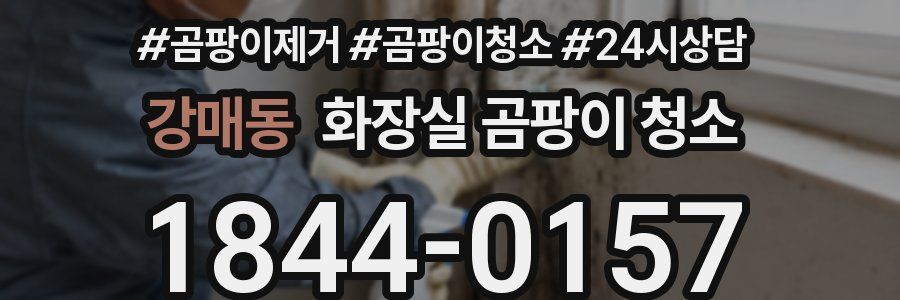강매동 화장실 곰팡이 청소